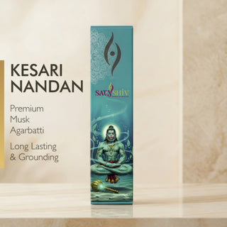 Kesari Nandan