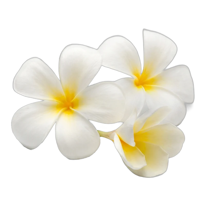 Nagchampa